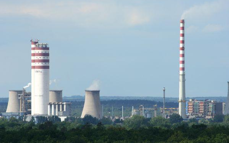 Wyniki Puław bez zaskoczenia