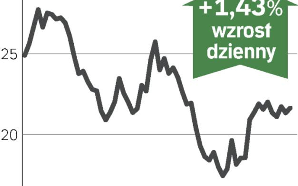 Abu Zabi największym udziałowcem