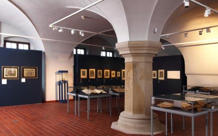 fot. Grzegorz Solecki