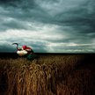 fot. Brian Griffin