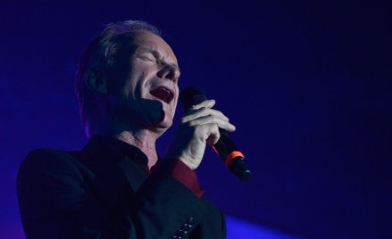 Sting jest jedną z brytyjskich gwiazd, która głosowała przeciw brexitowi