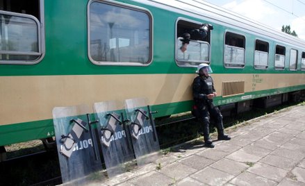 Występek chuligański w Trybunale Konstytucyjnym