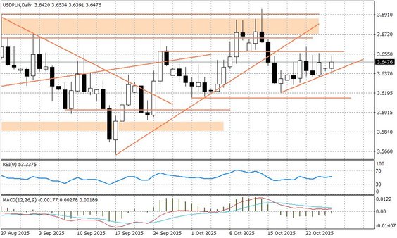Wykres dzienny USDPLN