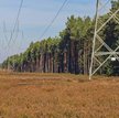 Linia elektryczna w lesie - podatek leśny czy podatek od nieruchomości