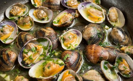 Upały gotują małże żywcem