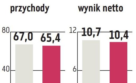 Aplisens: Sprzedaż w Rosji mocno przyhamowała