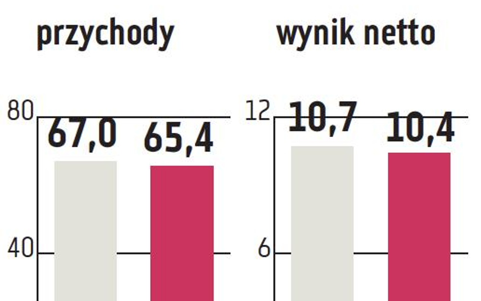 Aplisens: Sprzedaż w Rosji mocno przyhamowała