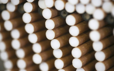 Rośnie szara strefa tytoniowa w UE