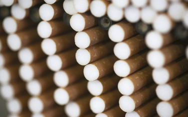 Rekordowo mała szara strefa tytoniowa