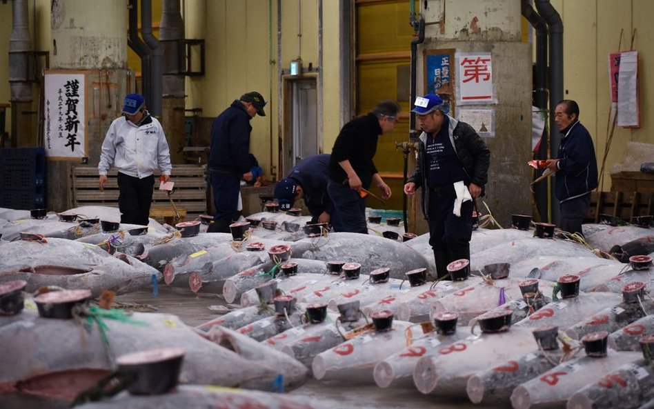 Pierwsza aukcja tuńczyków w 2017 roku na tokijskim targu Tsukiji