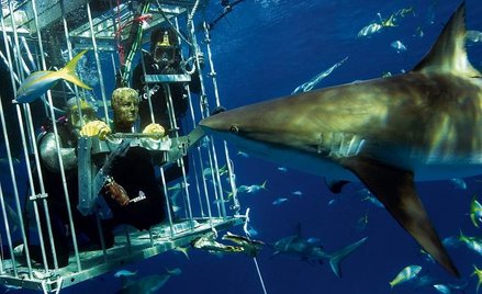 Manekin w dziale... armatnim