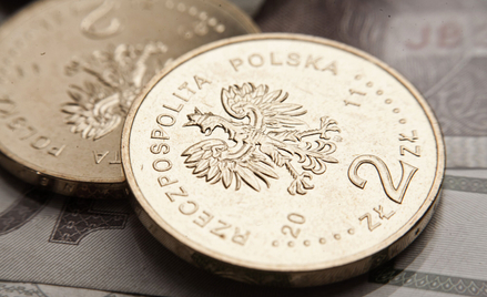 Kurs złotego stabilny o poranku