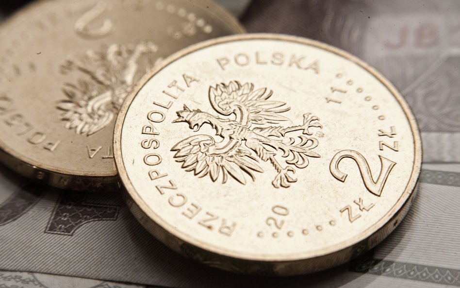 Złoty wciąż jest na fali