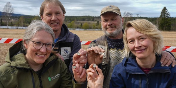 Norwegia. Znaleziono wielki skarb z czasów wikingów. „Detektory nie przestawały pikać”