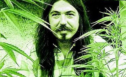 Marihuana jako lek z ogródka