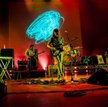 Tame Impala. Fot. Allapologies v/ lic. Attribution-ShareAlike 3.0 Unported (CC BY-SA 3.0)