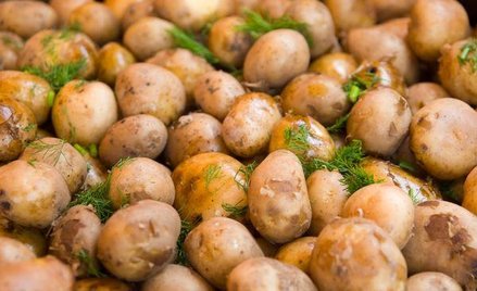 Zarząd Pepeesu zapowiada, że w tym roku liczy na poprawę wyników