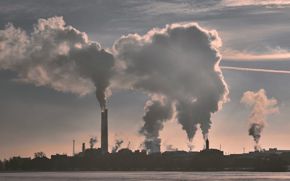 Korupcja stanowi ogromne zagrożenie dla działań na rzecz klimatu – przekonuje Maira Martini, dyrekto