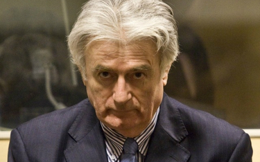 Trybunał dla Jugosławii rozważa zwolnienie Radovana Karadżicia