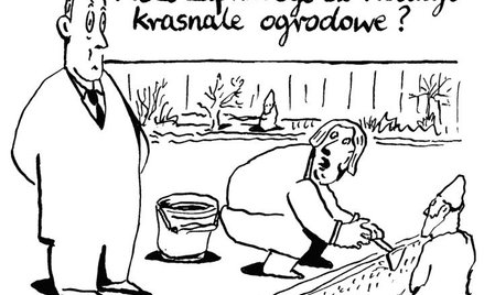 Andrzej Krauze: Komentarz rysunkowy