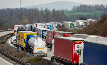 Dorota Chrabota: Sieć transportowa potrzebna także podczas pandemii koronawirusa
