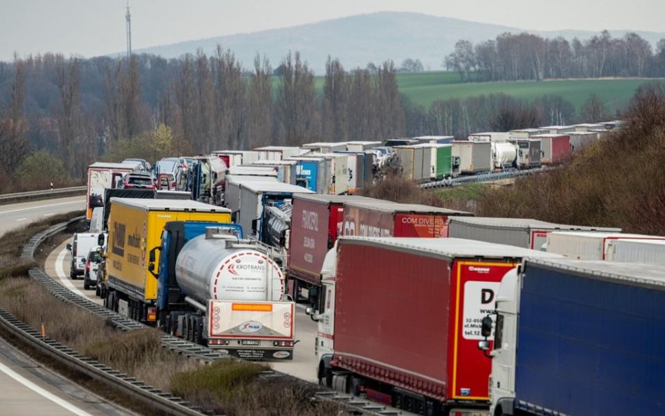 Dorota Chrabota: Sieć transportowa potrzebna także podczas pandemii koronawirusa