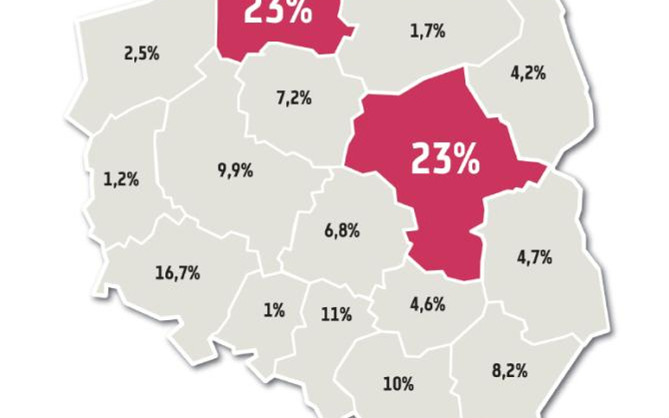 Łączna wartość przychodów polskich spółek notowanych na GPW przekracza 500 mld zł, co w skali całego