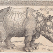 Albrecht Dürer „Nosorożec”, 1515 r, drzeworyt