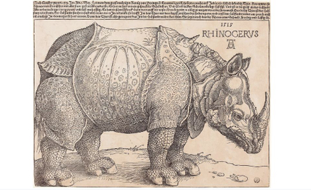 Albrecht Dürer „Nosorożec”, 1515 r, drzeworyt