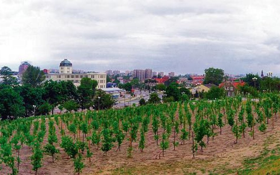 58,3 mln euro w ramach Zintegrowanych Inwestycji Terytorialnych wesprze budowę zielonogórskiego obsz