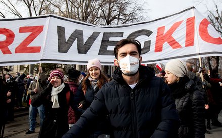 Niedzielny protest w Wiedniu