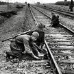 Sowieccy partyzanci podkładają minę na linii kolejowej koło Mińska, wiosna 1944 r.