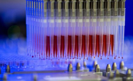 Biomed i Selvita z dofinansowaniem