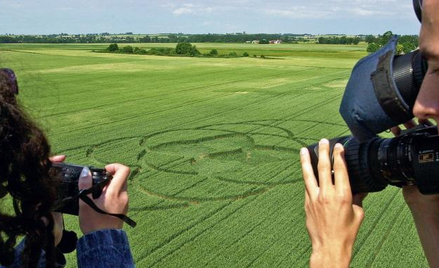 Takie kręgi w zbożu jak te w Wylatowie (kujawsko-pomorskie) znikają wraz ze żniwami