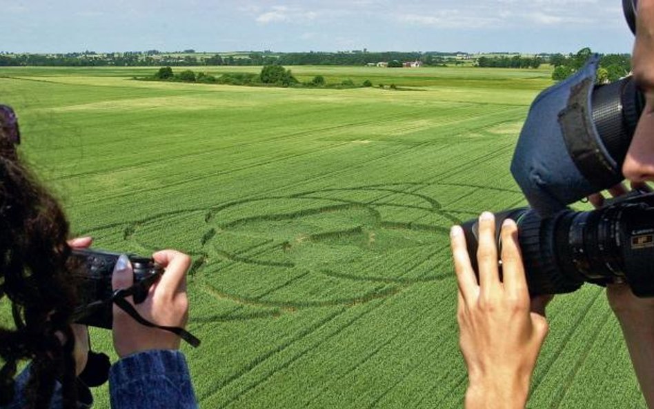 Takie kręgi w zbożu jak te w Wylatowie (kujawsko-pomorskie) znikają wraz ze żniwami