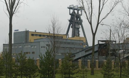 PDA Bogdanki zadebiutowały po 56,1 zł