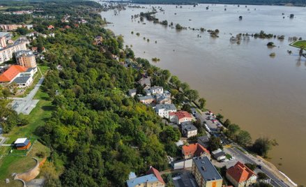 Wysoki stan Odry w miejscowości Krosno Odrzańskie