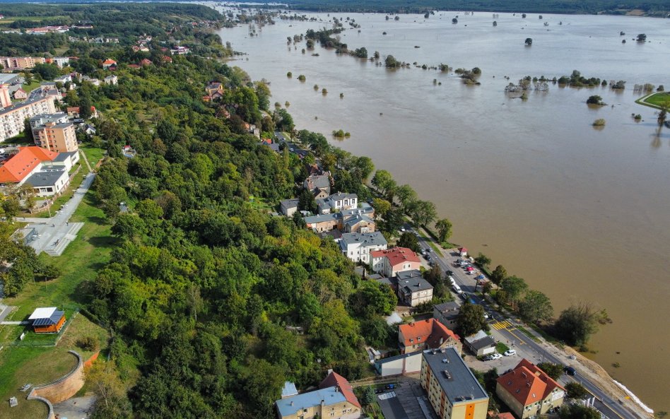 Wysoki stan Odry w miejscowości Krosno Odrzańskie