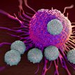 Leki stosowane w immunoterapii aktywują układ odpornościowy chorego do walki z nowotworem.
