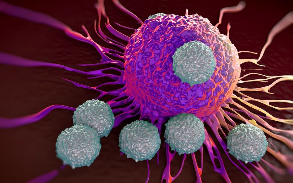 Leki stosowane w immunoterapii aktywują układ odpornościowy chorego do walki z nowotworem.