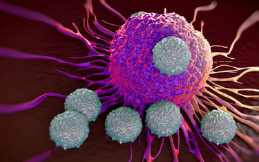 Leki stosowane w immunoterapii aktywują układ odpornościowy chorego do walki z nowotworem.