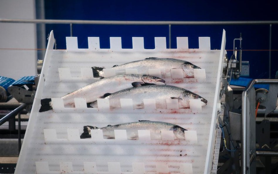 Norweski łosoś ratuje norweskie PKB