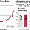 Ceramika Nowa Gala chce zwiększyć sprzedaż oraz oszczędności