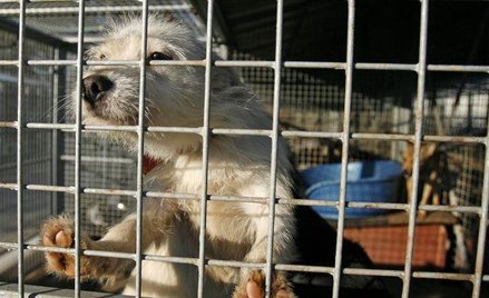 Darowane wykreślamy z kosztów