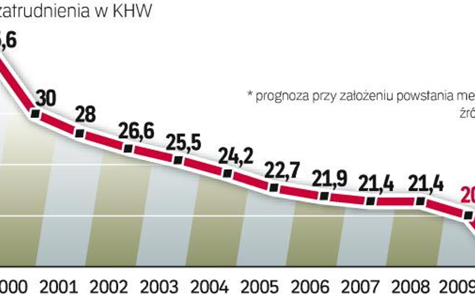 W ciągu kilku lat zatrudnienie w megakopalni KHW mogłoby się zmniejszyć o jedną czwartą. Powodem był