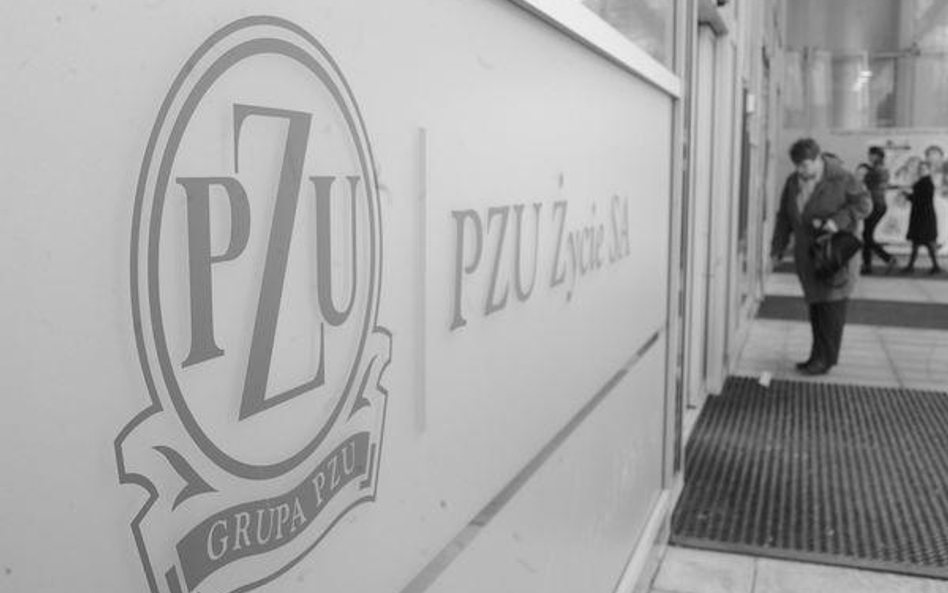 Prywatyzacja PZU i innych spółek zgodnie z planem