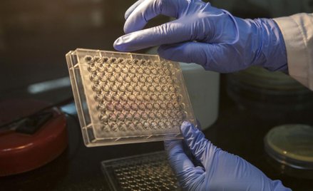 Mercator Medical: Nowe moce wsparciem dla wyników grupy