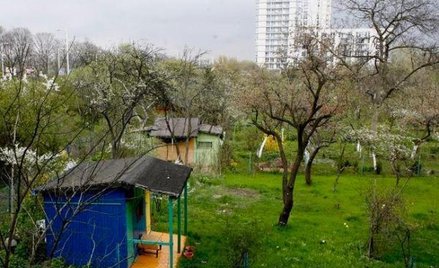 Senatorowie chcą, żeby prawa do działki przenosić tylko w umowie pisemnej z podpisami poświadczonymi