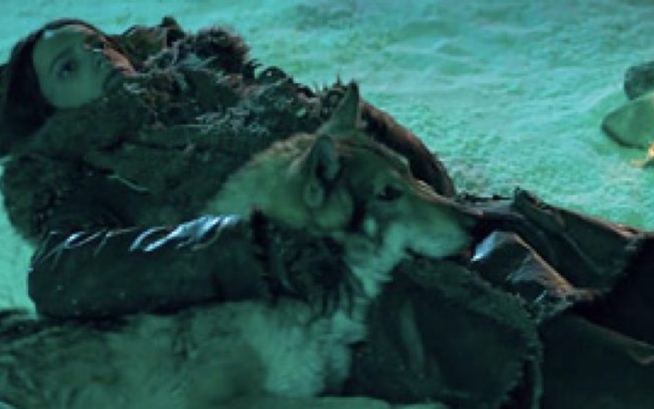 PETA wzywa do bojkotu filmu "Alpha". Zginęły bizony