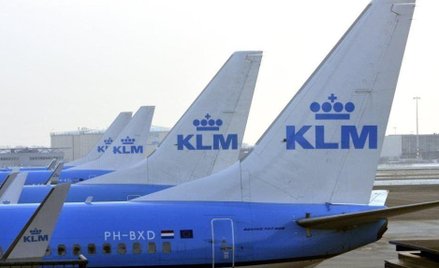 Holenderski rząd zawiesza pomoc KLM